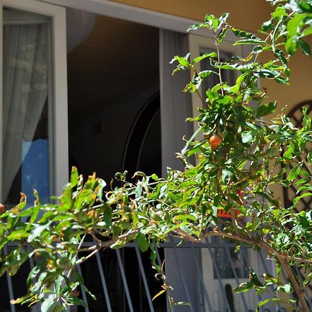 Hotel Corallo Garnì Cattolica Esterno foto