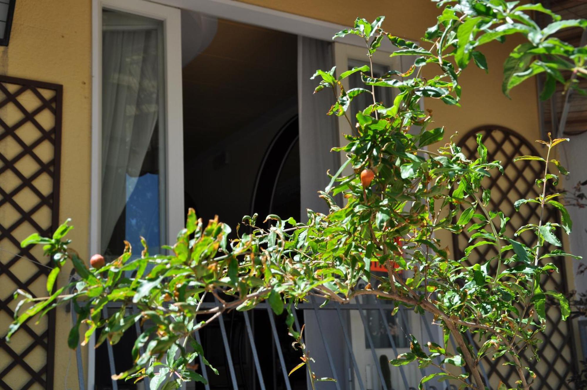 Hotel Corallo Garnì Cattolica Esterno foto